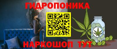 PSILOCYBIN Конаково