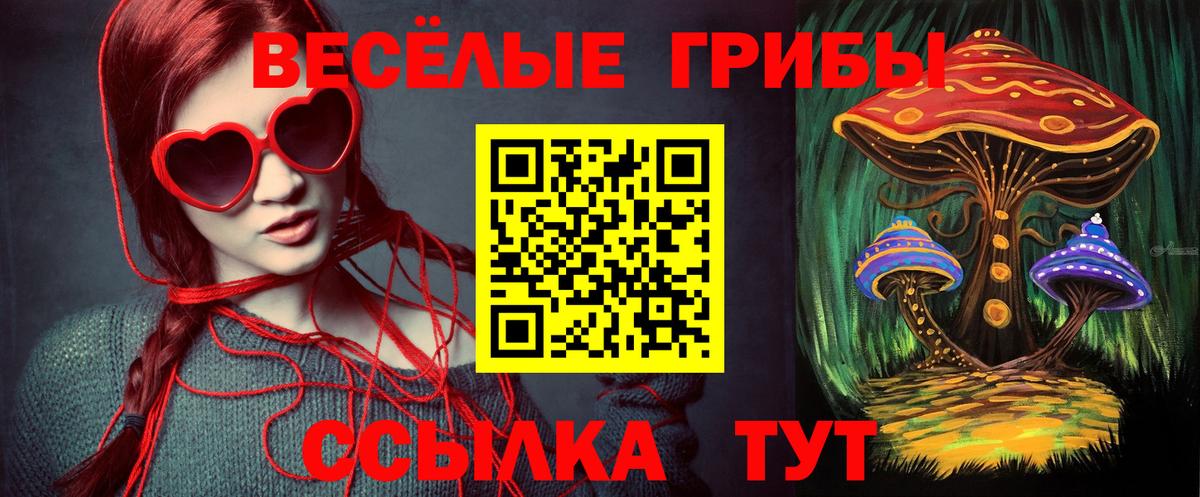 Кисловодск  Псилоцибиновые грибы MAGIC MUSHROOMS  Вход с VPN 