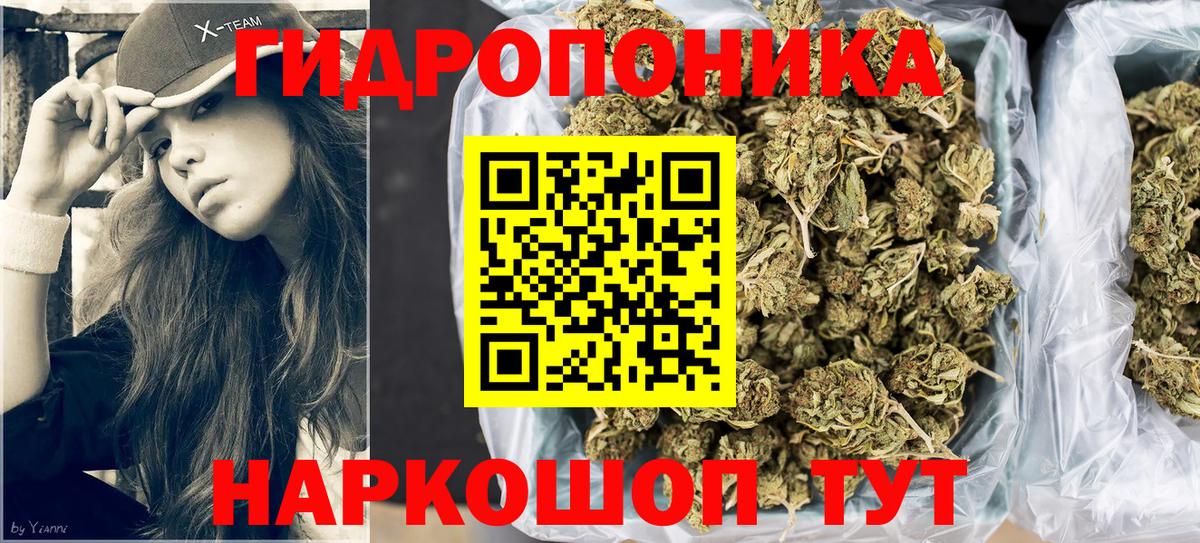 Бошки Шишки Amnesia  Конопля ГИДРОПОН  Бошки марихуана Ganja  Кисловодск  Вход с VPN 